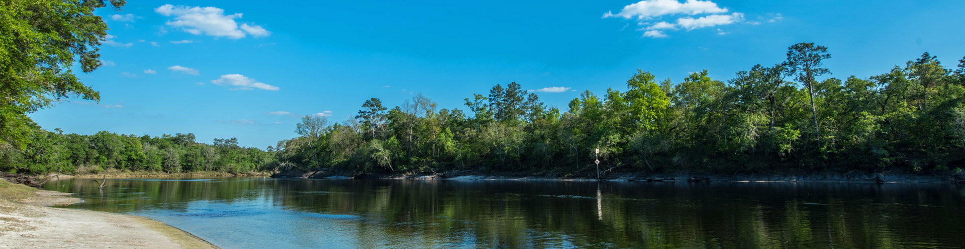 Suwannee river shoreline during day