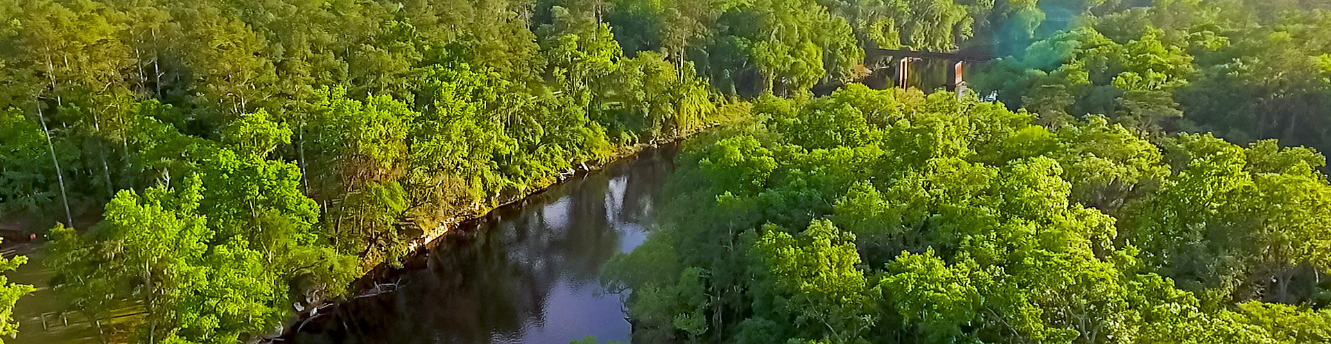 suwannee river view