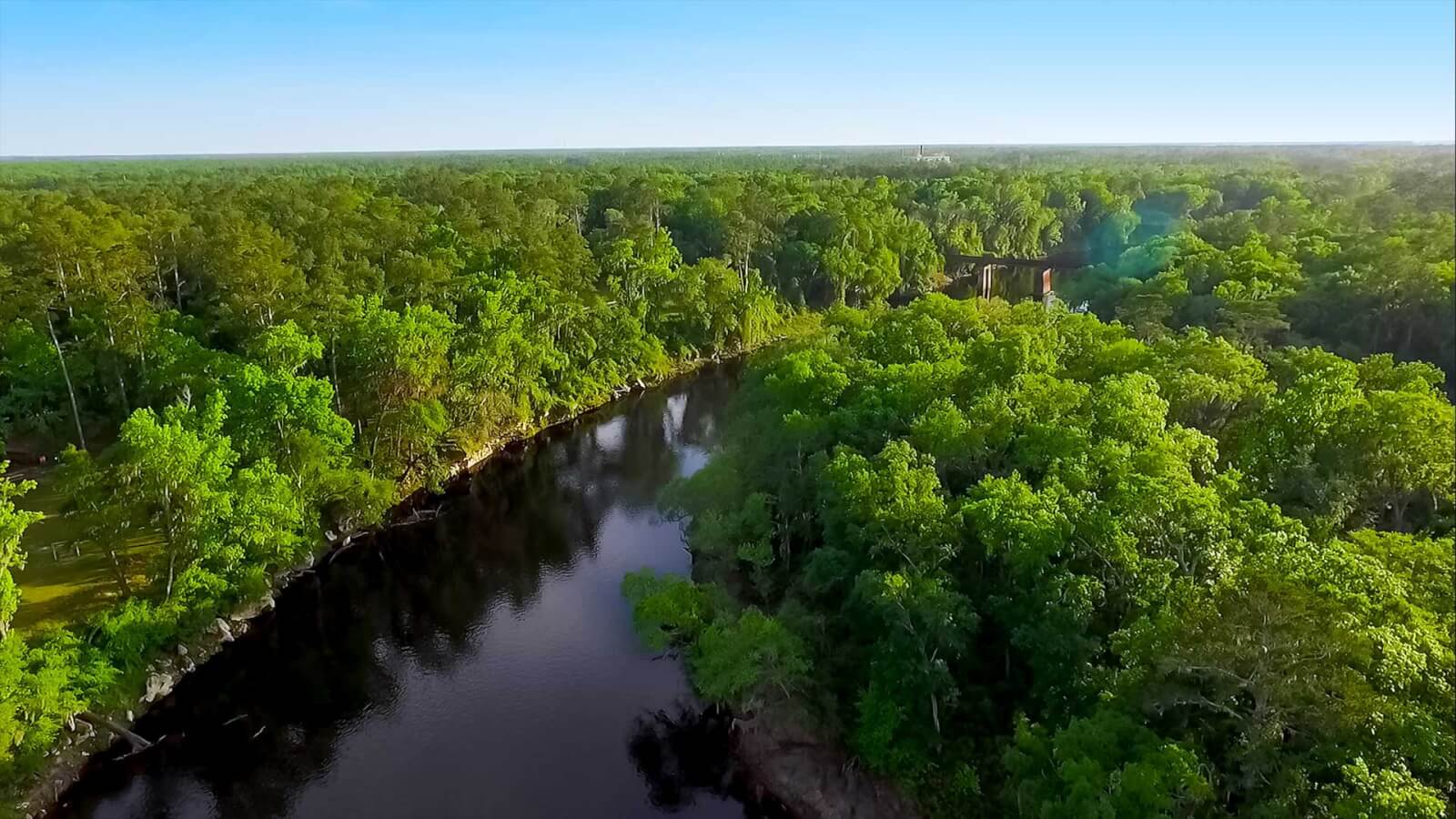 Aerial view of the Suwannee River